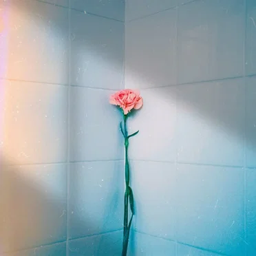 一輪花