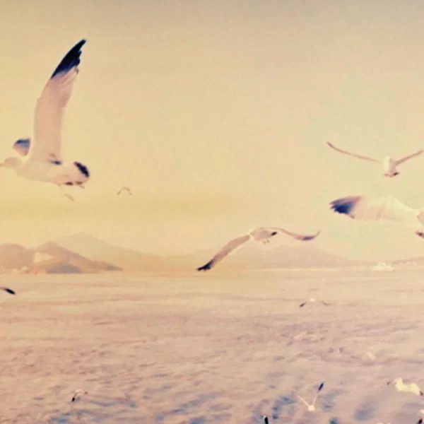 Take the Air