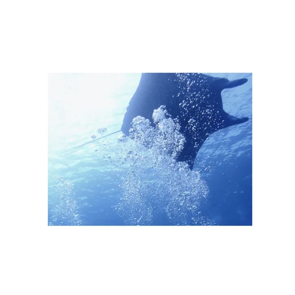 recordation 9