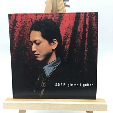 gimme A guitar by SONS OF ALL PUSSYS - album cover