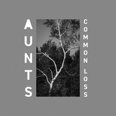 Common Loss by Aunts - album cover