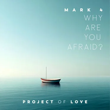 Mark 4 - Why Are You Afraid? by Project Of Love - album cover