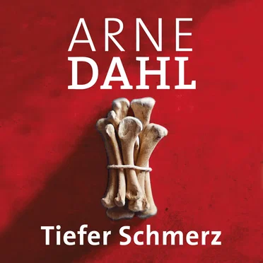 Tiefer Schmerz by Arne Dahl - album cover