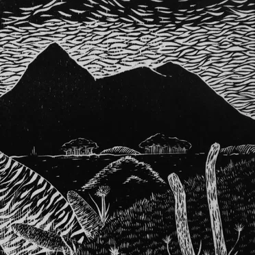 Mountain Tops by Câmera - album cover