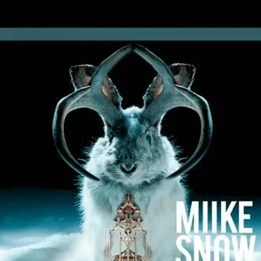 The Rabbit