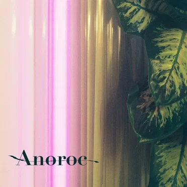 Anoroc