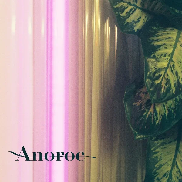 Anoroc
