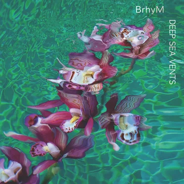 Deep Sea Vents by BrhyM - album cover