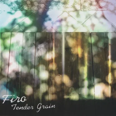 Tender grain by Firo - album cover
