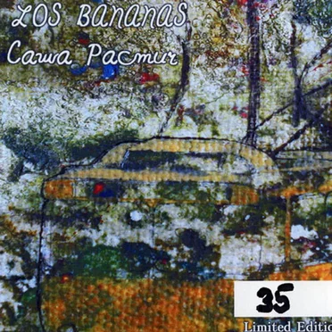 Supplementary CD for Various Purposes