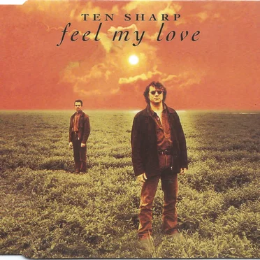 Feel My Love