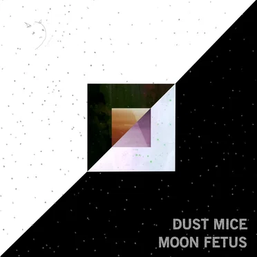 Moon Fetus