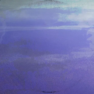 Glass Sky Jungle