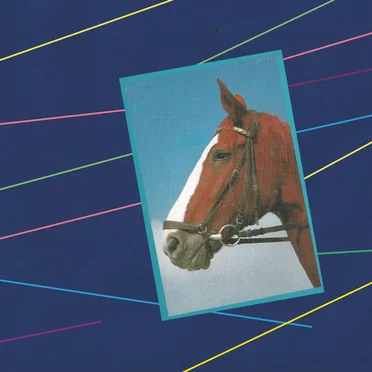 Une autre version de Territory by Tanz Mein Herz - album cover