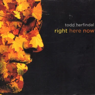 Right Here Now by Todd Herfindal - album cover