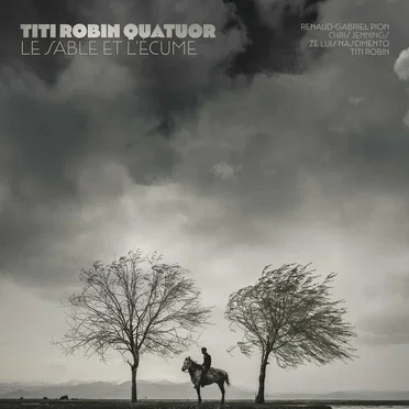 Le Sable et l'écume by Titi Robin Quatuor - album cover