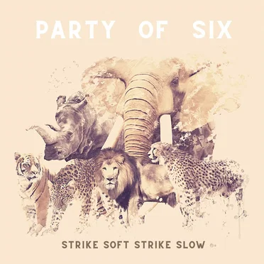 Strike Soft Strike Slow by Party of Six - album cover