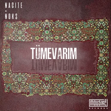 Tümevarım by Nacite - album cover
