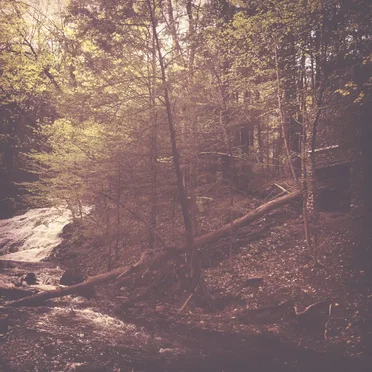 Walter Goodman (Or the Empty Cabin in the Woods) by Cave Dweller - album cover