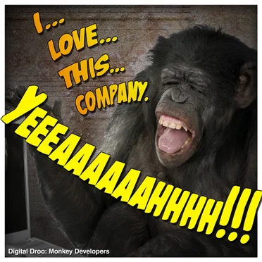 Monkey Developers (2012 Instrumental) by Digital Droo - album cover