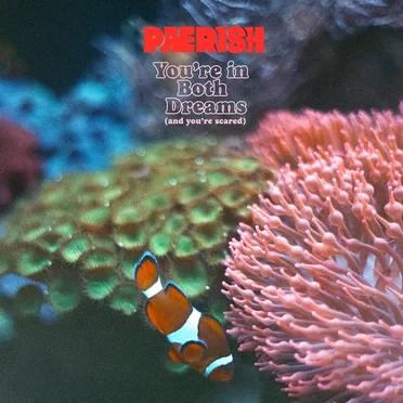 You’re in Both Dreams (And You’re Scared) by Paerish - album cover