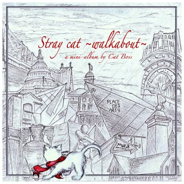 Stray Cat ~Walkabout~