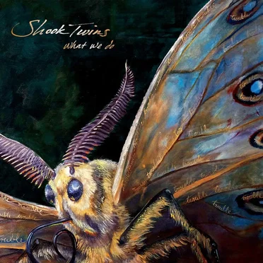 What We Do by Shook Twins - album cover