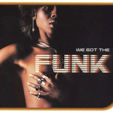 We Got the Funk by Various Artists - album cover