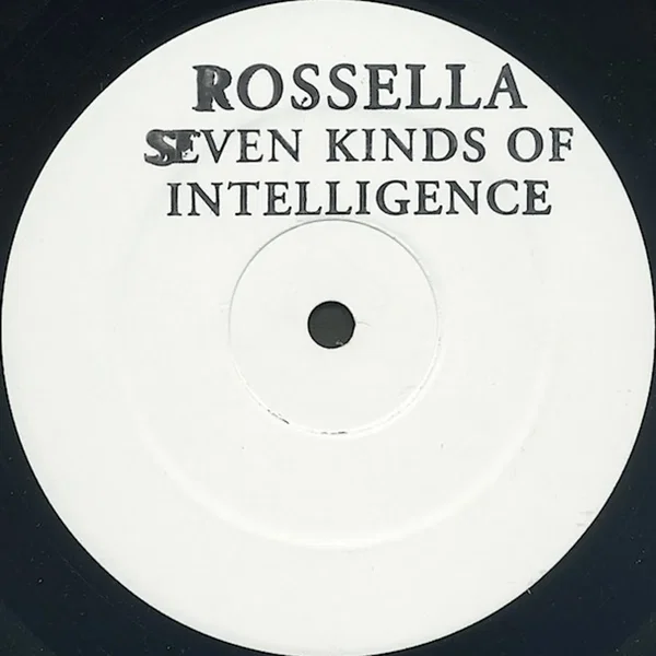 Seven Kind Of Intelligence: Part 1