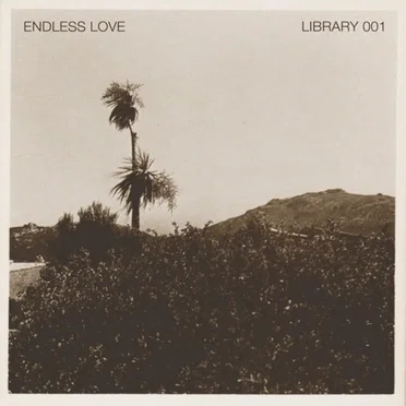 Library 001