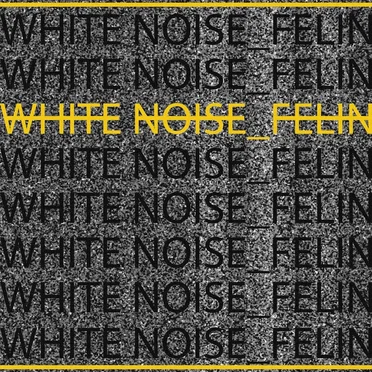 White Noise