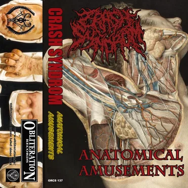 Anatomical Amusements