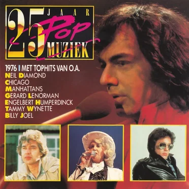 25 Jaar Popmuziek: 1976 by Various Artists - album cover