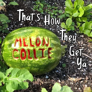 That's How They Get Ya! by Melon Collie - album cover