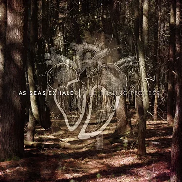 The Healing Process by As Seas Exhale - album cover