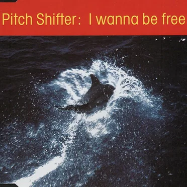 Pitch Shifter