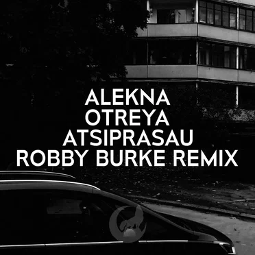 Atsiprašau (remix)