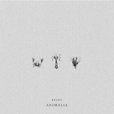 Animalia