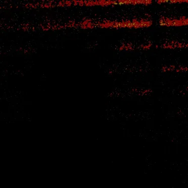 DR0000_5294_2-2-21_12-50am