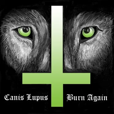 Burn Again