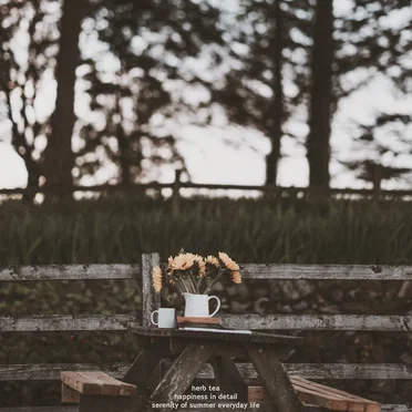 Herb Tea