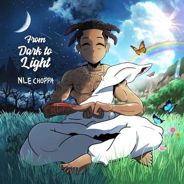From Dark to Light by NLE Choppa - album cover