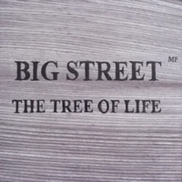 The Tree of Life by Big Street - album cover
