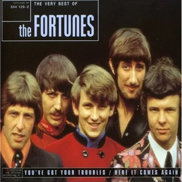 The Very Best of The Fortunes