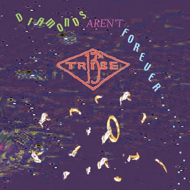 Diamonds Aren't Forever (When You're Dead) by Thirteenth Tribe - album cover
