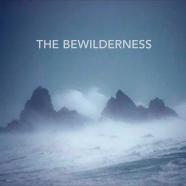 The Bewilderness by Plan 9 - album cover