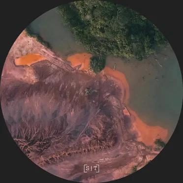 Birds & Bugs by 232Lab - album cover