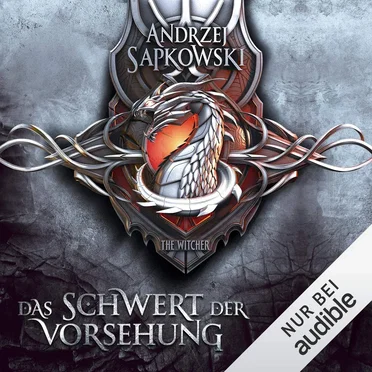 Das Schwert der Vorsehung by Andrzej Sapkowski - album cover