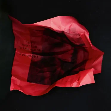 Red Night by The Hundred in the Hands - album cover