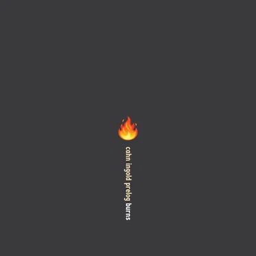 Burns